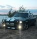 Без описания