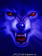1320949164_2496.gif