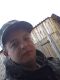 Без описания
