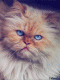 1326892175_9972.gif