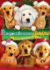 «Рождественская пятерка»/«Santa Buddies» (2009 год) США, Канада