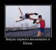 Без описания
