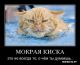 Без описания
