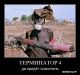 Без описания