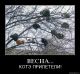 Без описания