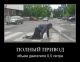 Без описания