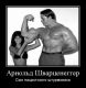 Без описания