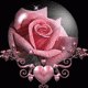 1329588099_6201.gif