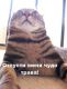 Котик прётся.
