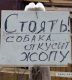 Без описания