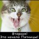 Кошак...)))
