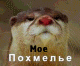 предыдушее фото