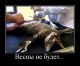 следующее фото