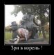 Без описания