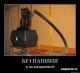 Без описания