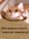 Без описания