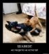 Без описания