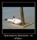 Без описания