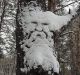Без описания