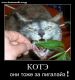 Без описания