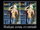 Без описания