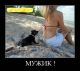 Без описания