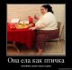 Без описания