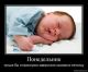Без описания