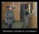 Без описания