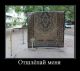 Без описания
