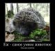 Без описания