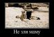 Без описания