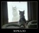 Без описания