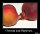 Без описания