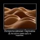 Без описания