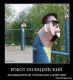 предыдушее фото