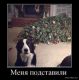 Без описания