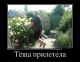 Без описания