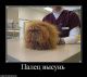 Без описания