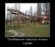 предыдушее фото