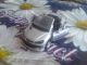 Peugeot 206 cc