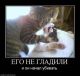мы в ответе за тех кого приручили...