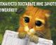 кем не станеш ради зачёта )