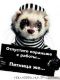 все начальники садисты...