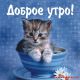 Без описания