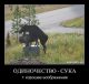 Без описания