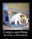 Без описания