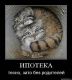 Без описания