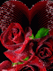 1329559421_5616.gif