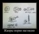 Без описания